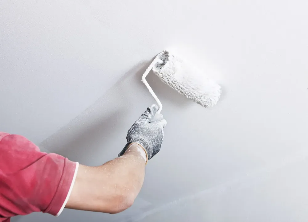 Entreprise de plâtrerie peinture à Corbas